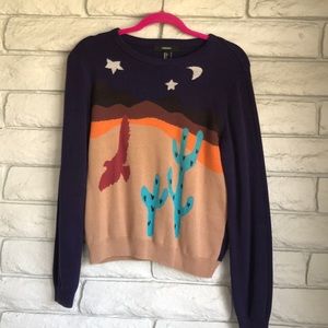 f21 coach knock off desert novelty sweater